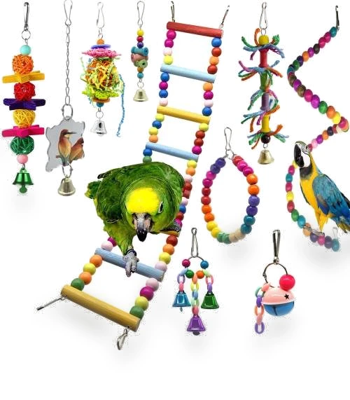10 in 1 Parrot Toy Set — Toys