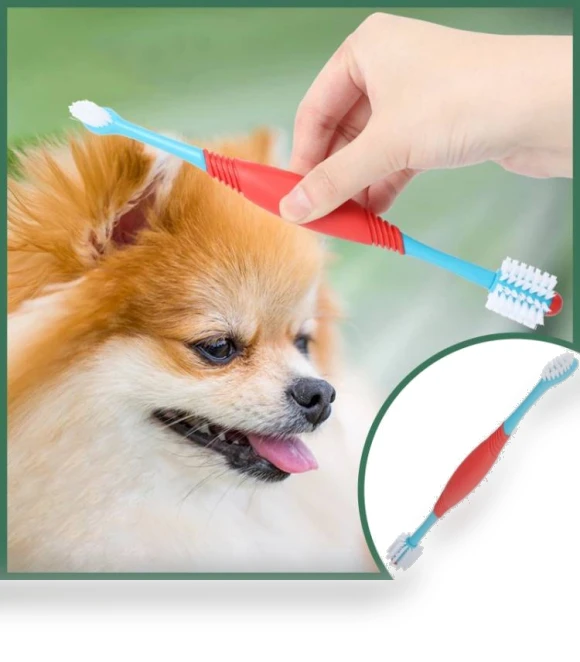 Dual Head Toothbrush for Pets — Toothbrushes