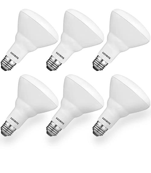 6-Pack BR30 LED Bulb — Lighting Solutions, LUXRITE
