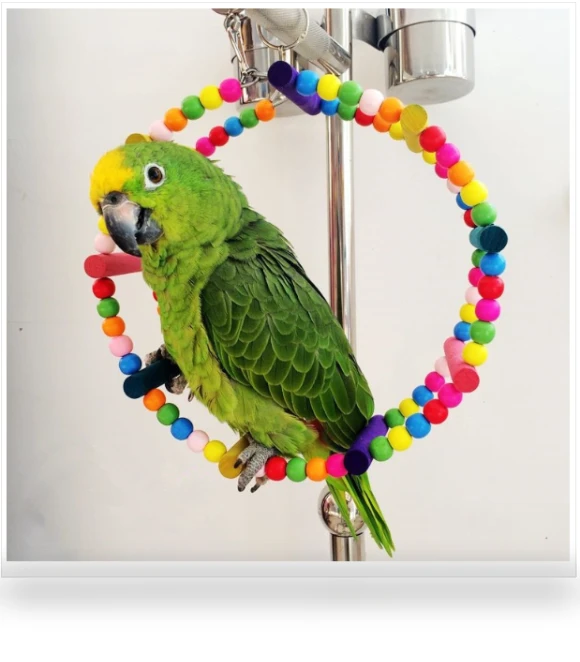 Bird Arch Climbing Swing Play Wheel Ring Toy — Toys