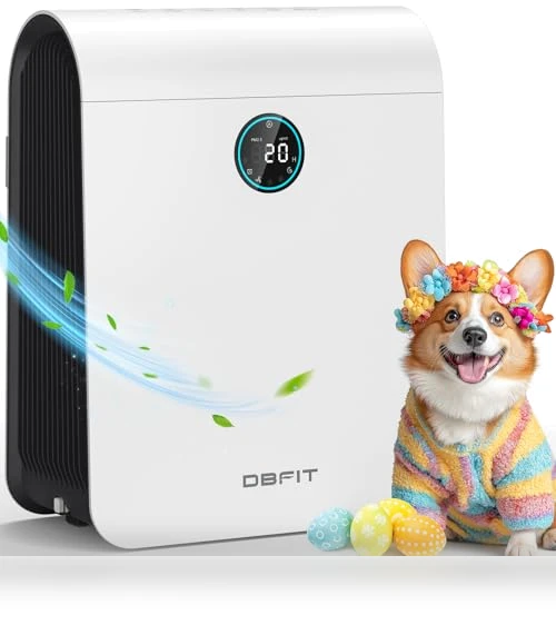 Large Room Air Purifier with PM 2.5 Display — Activated Carbon Air Purifiers, DBFIT
