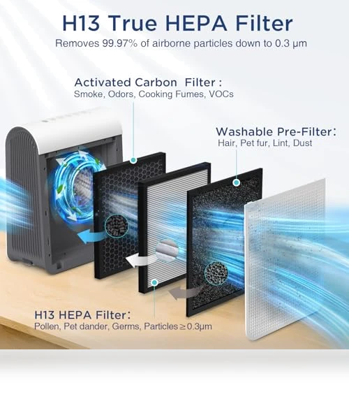 Large Room Air Purifier with PM 2.5 Display — Activated Carbon Air Purifiers, DBFIT