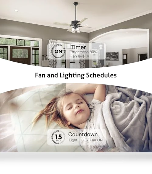 Smart Ceiling Fan Control and Dimmer Light Switch — Ceiling Fan Wall Controls, TREATLIFE