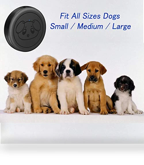 Smart Wireless Dog Doorbells for Potty Training — Doorbells, EverNary