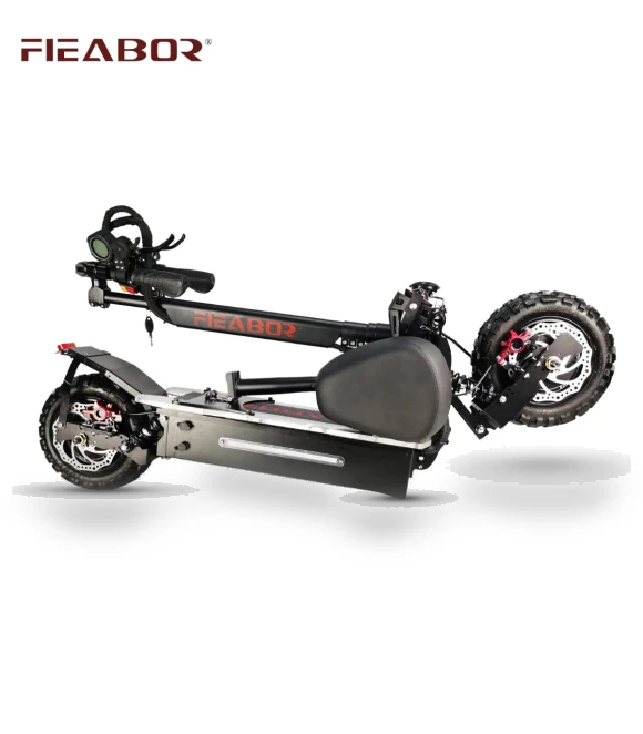 Electric Scooter — Electric Self-Balancing Scooters, Fieabor