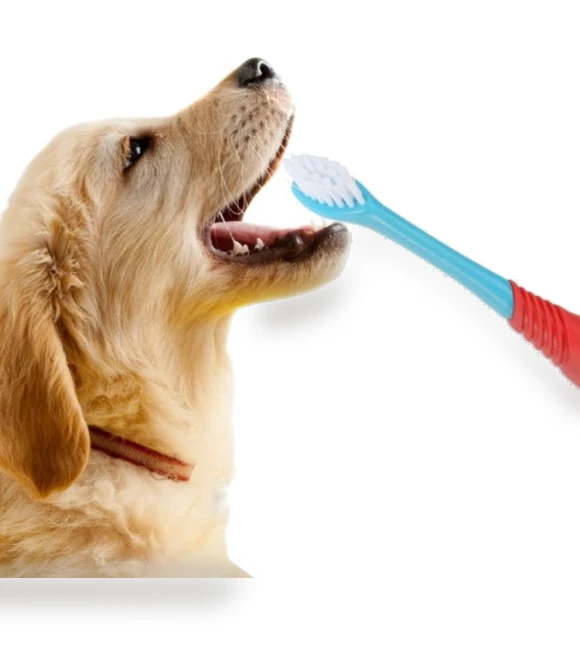 Dual Head Toothbrush for Pets — Toothbrushes