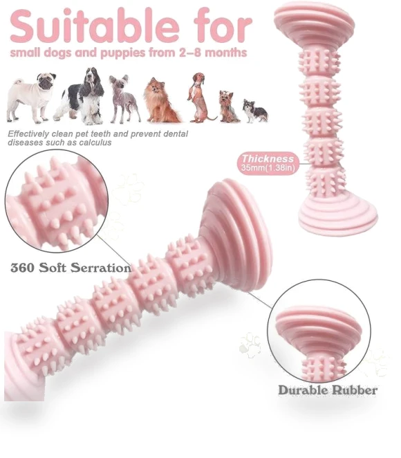 Teething Toy Chewing Dog Toothbrush Toy — Toys