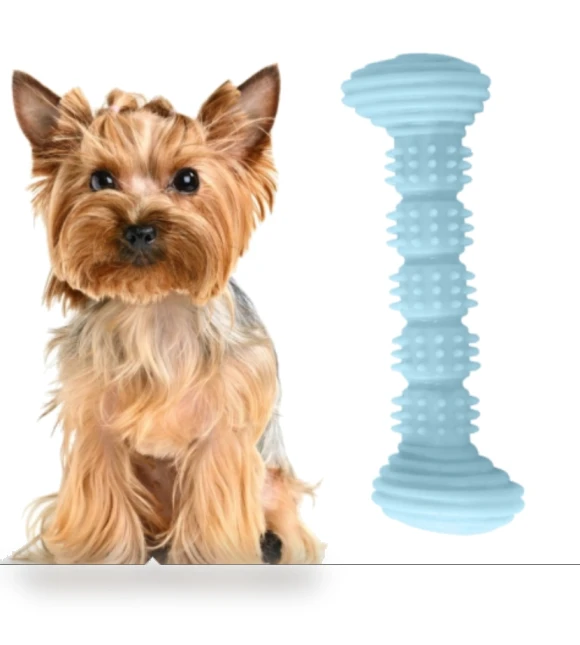 Teething Toys Chewing Gnawing Dog Toothbrush — Toothbrushes