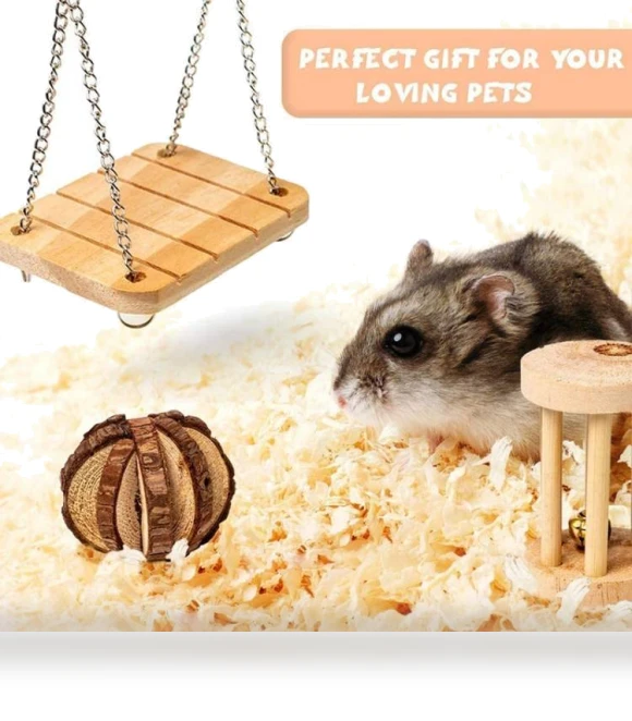 Hamster Seesaw Climbing Ladder Gnawing Teeth String Wooden Set Toy — Toys