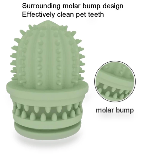 Teeth Cleaning Cactus Toy for Pets — Cat Playthings