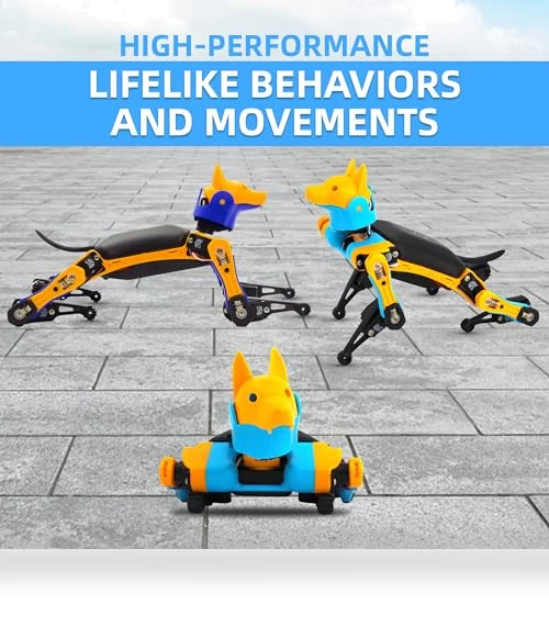 Robot Dog Kit — Robotics Foundations, Petoi