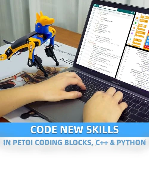 Robot Dog Kit — Robotics Foundations, Petoi
