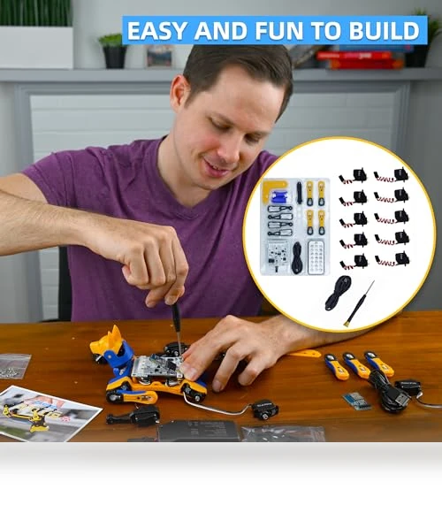 Robot Dog Kit — Robotics Foundations, Petoi