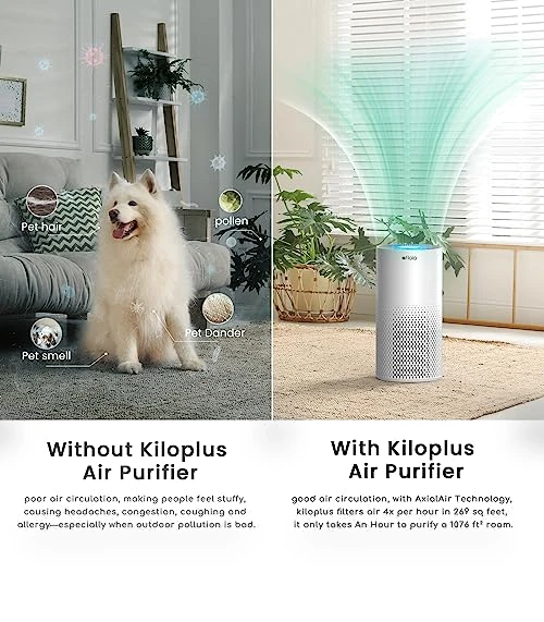 Smart WiFi Air Purifier for Large Rooms — Activated Carbon Air Purifiers, Afloia