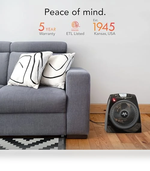 Space Heater with Remote — Home Climate Control, Vornado