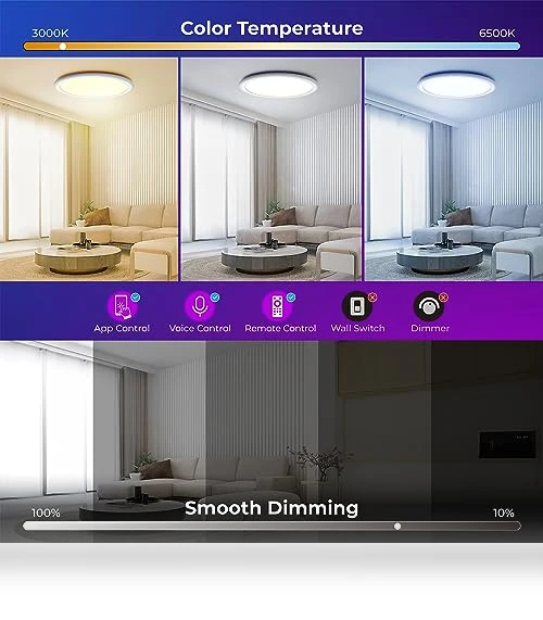 Smart RGB LED Flush Mount Ceiling Light — LED, BLNAN