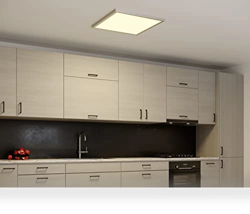 Smart Direct Wire LED Flat Panel Ceiling Light Fixture — Overhead Lighting, Good Earth Lighting