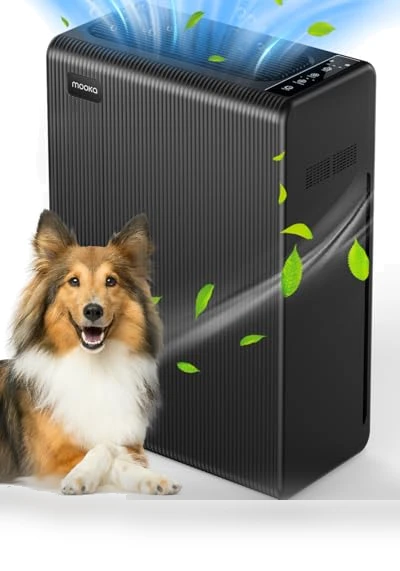 Large Room Air Purifier — HEPA Air Purifiers, Mooka Family