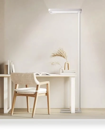 Floor Lamp with Motion Sensor — Commercial Lighting Solutions, PalFish