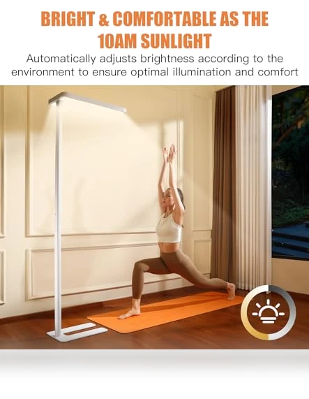 Floor Lamp with Motion Sensor — Commercial Lighting Solutions, PalFish