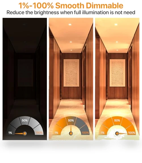 LED Recessed Lighting — Close To Ceiling, ORALUCE
