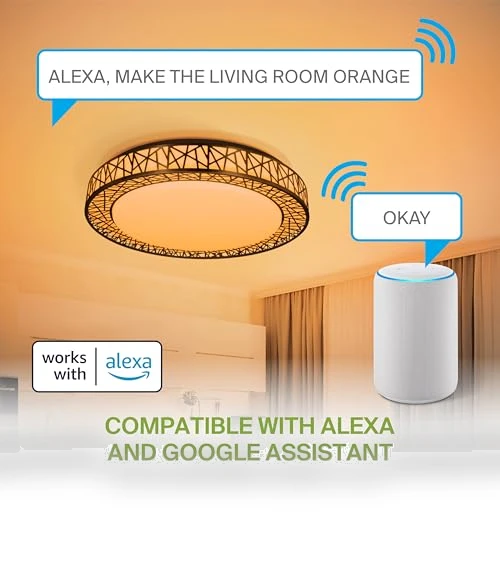 20 Inch Smart RGBW Flush Mount Ceiling Light — Overhead Lighting, ASD