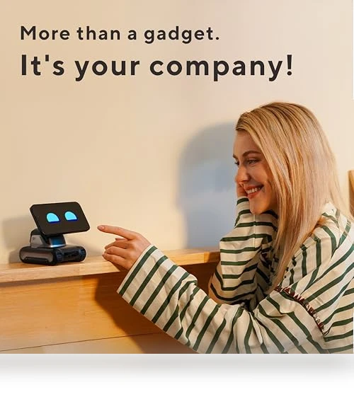 AI Desktop Companion Robot — Security & Surveillance Robots, TangibleFuture