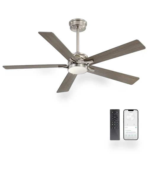 Smart Ceiling Fan with Lights — Ceiling Fan Wall Controls, WINGBO
