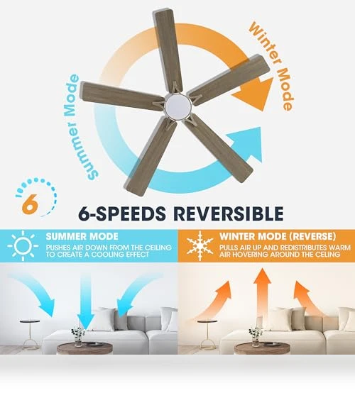 Smart Ceiling Fan with Lights — Ceiling Fan Wall Controls, WINGBO
