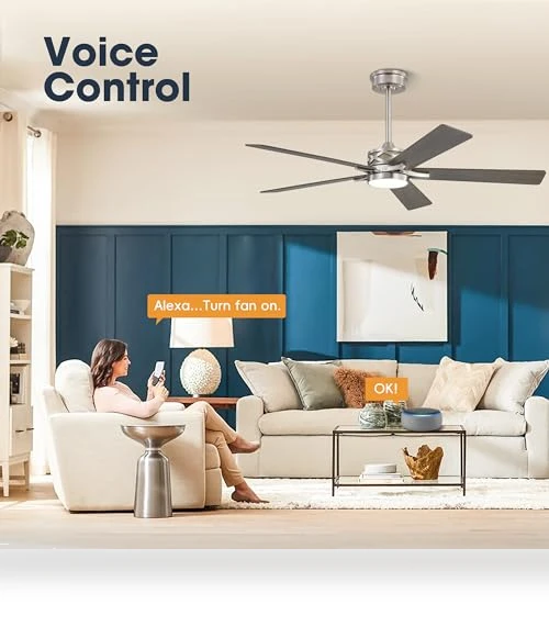 Smart Ceiling Fan with Lights — Ceiling Fan Wall Controls, WINGBO