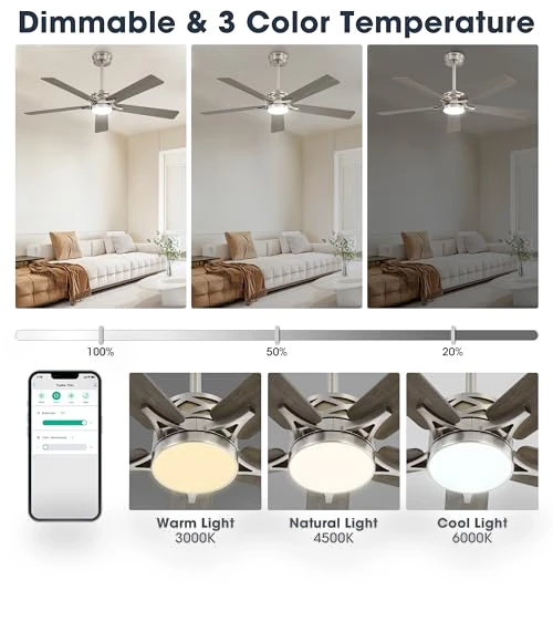Smart Ceiling Fan with Lights — Ceiling Fan Wall Controls, WINGBO