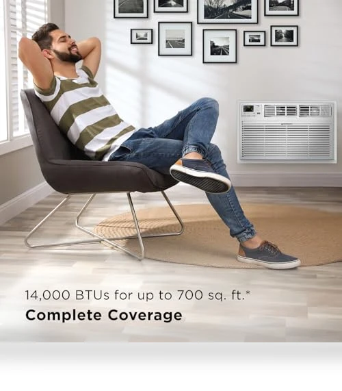 Smart Through-The-Wall Air Conditioner, Heater, Fan & Dehumidifier — Cooling Solutions, TCL
