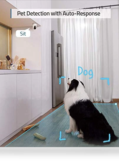 Indoor Security Camera — Cameras & Monitors, eufy