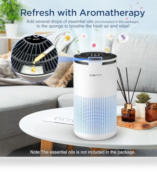 Large Room Air Purifier with Aromatherapy — HEPA Air Purifiers, DBFIT