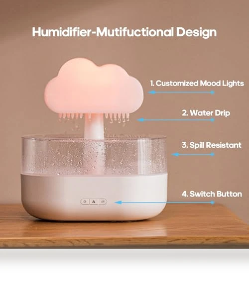 Rain Cloud Humidifier Water Drip — Air Moisturizers, Rican
