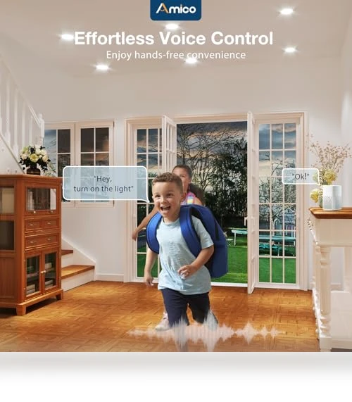 Smart LED Recessed Lighting — LED, Amico