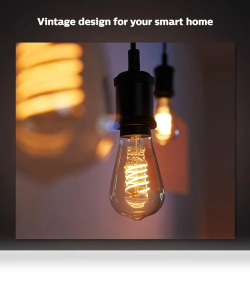 Smart 60W ST19 Filament LED Bulb — LED, Philips Hue