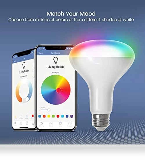 Smart LED Light Bulbs — LED, Feit Electric