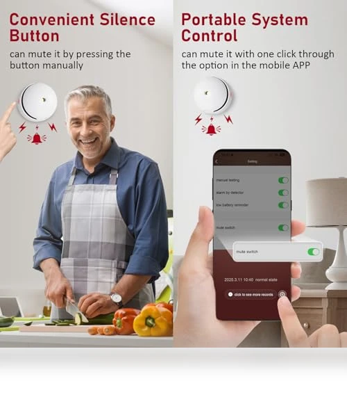Smart WiFi Wireless Smoke Detector — Smoke Detectors, Deller