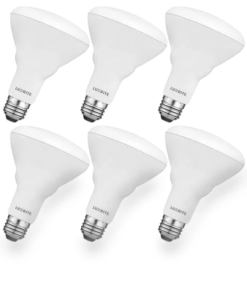 6-Pack BR30 LED Bulb — Compact Fluorescent, LUXRITE