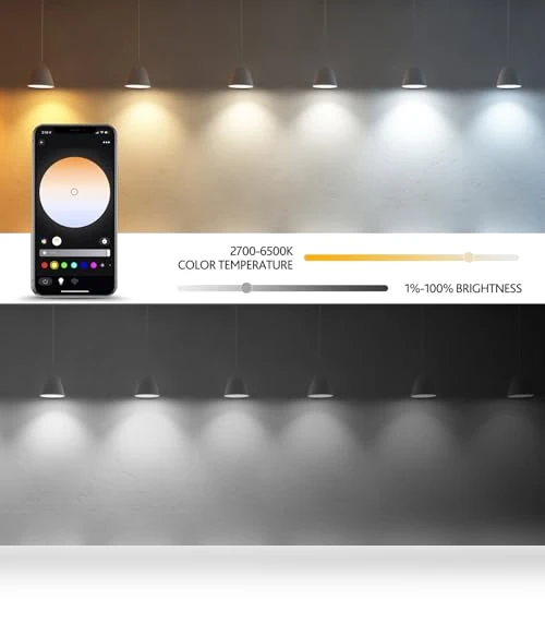 Smart Light Bulbs with Remote — LED, VvLons