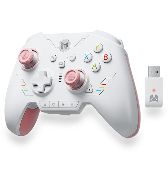 Rainbow 2 SE Game Controller — Hall Effect, BIGBIG WON