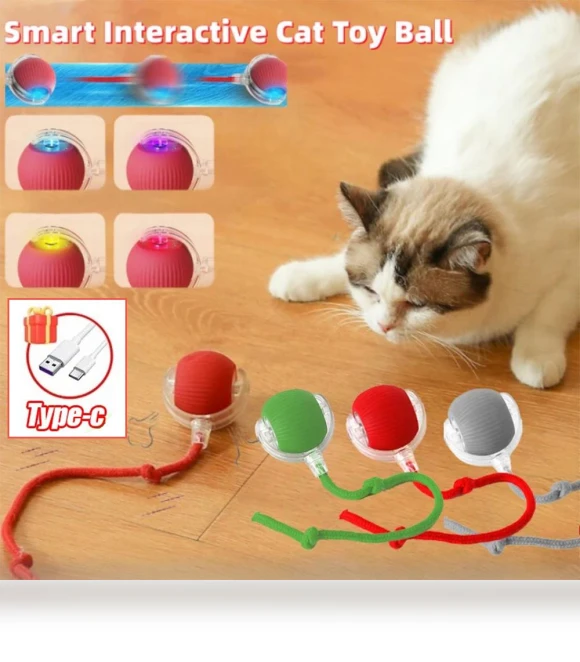 Interactive Silicone Ball for Cats — Cat Playthings, YJMP Top