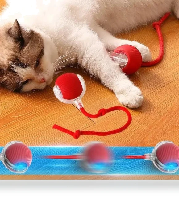Interactive Pet Toy Ball — Interactive Animal Companions, YJMP