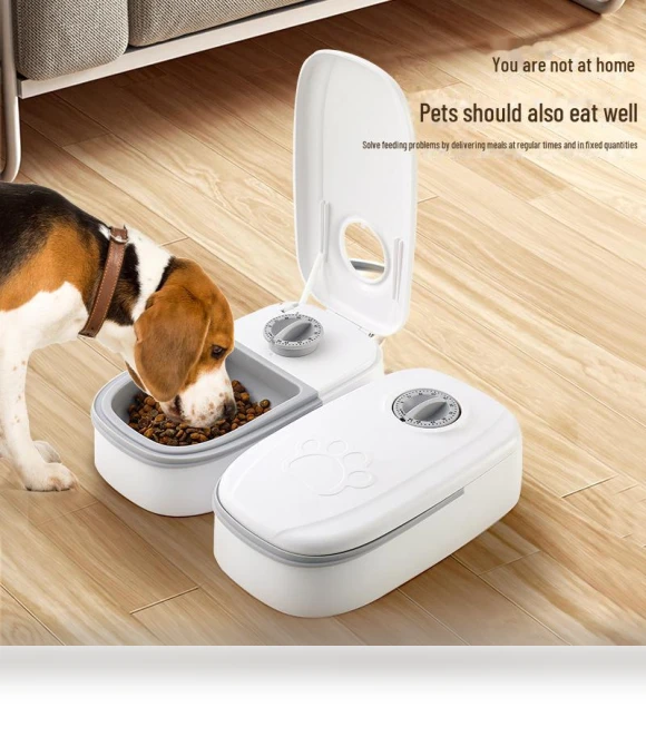Smart Feeder for Cats and Dogs with Dual Meal — Automatic Feeders, WoW Home