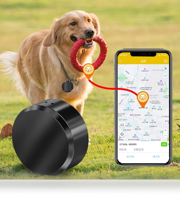 Magnetic Anti-Theft Real-Time Locator — Location Tracking Devices, Auto Accessories Home