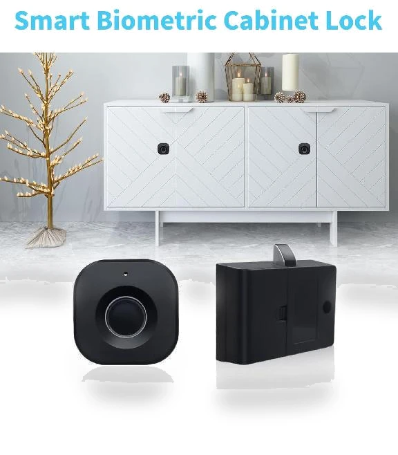 Fingerprint Cabinet Lock — Locks