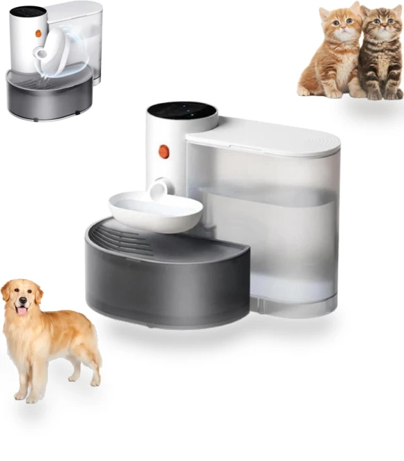 Automatic Pet Water Dispenser — Feeding Supplies, Challenge