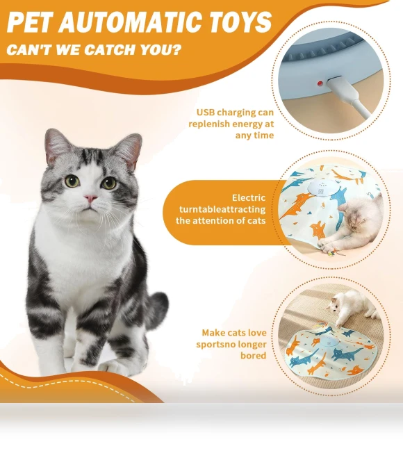 Interactive Cat Toy — Cat Playthings, Challenge