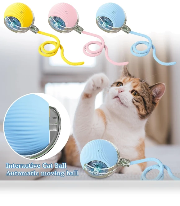 Interactive Rolling Ball Toy for Cats and Dogs — Interactive Animal Companions, Winnerer Sun